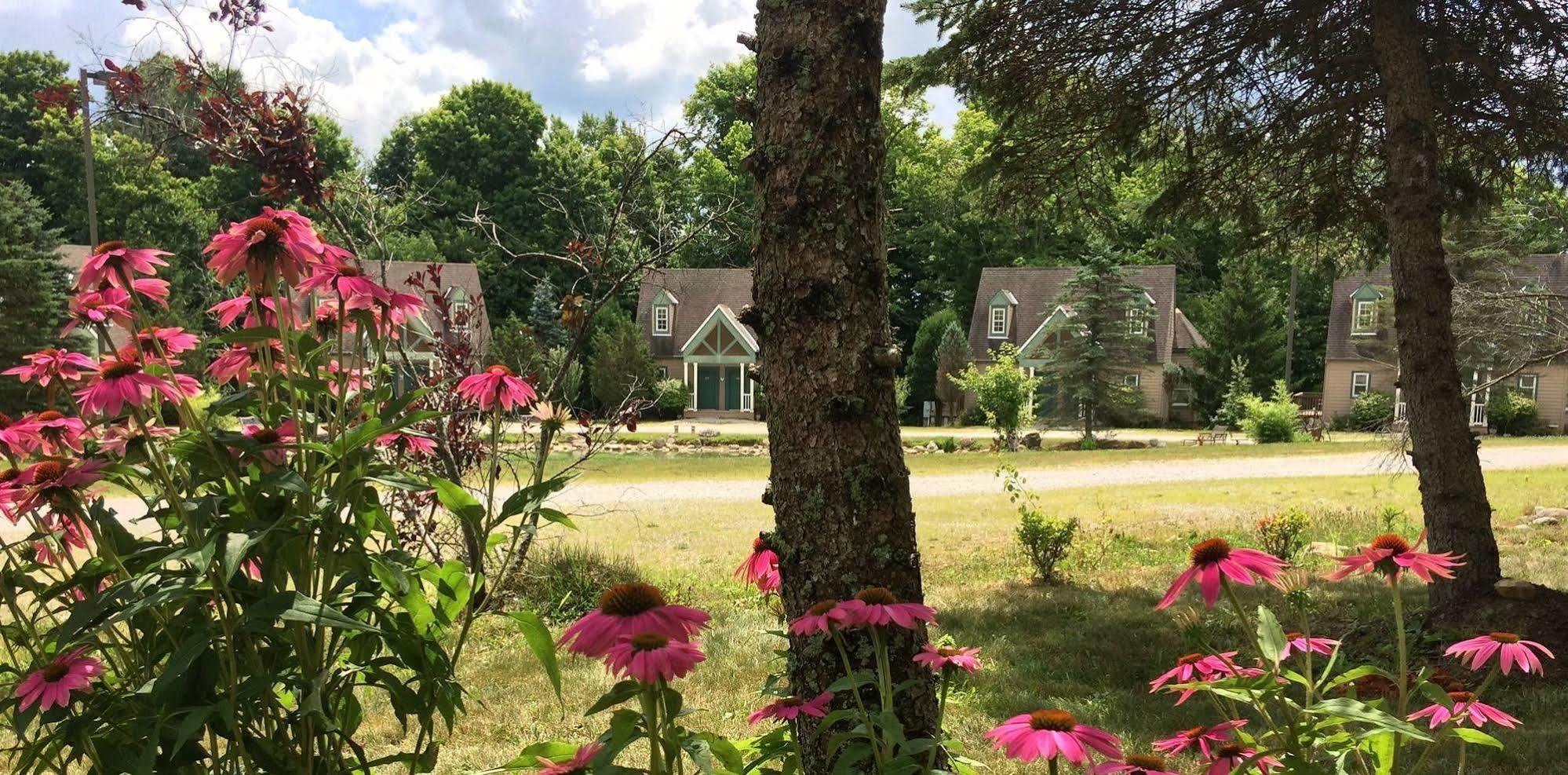Spruce Hill Inn & Cottages Mansfield Εξωτερικό φωτογραφία